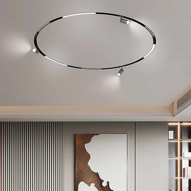 Round Magnetic Track Light ၊